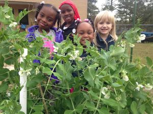 Image post by @kidsgardening on Instagram