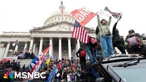 Video post by @msnbc on YouTube