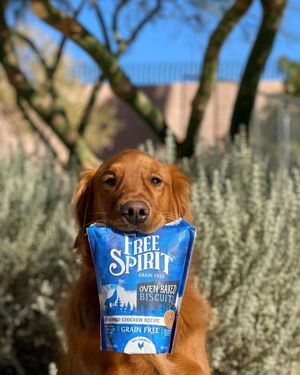 Image post by @triumphpetfood on Instagram