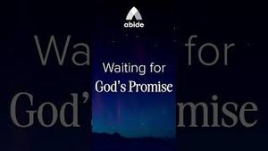 Video post by @abidesleepmeditation on YouTube