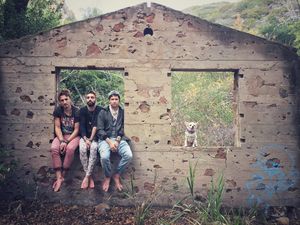 Image post by @magicgiant on Instagram