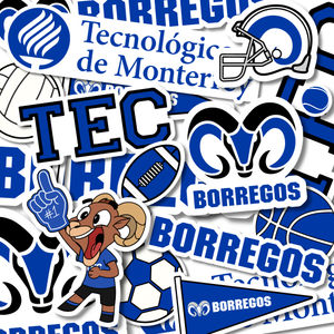 Image post by @borregostec on Instagram