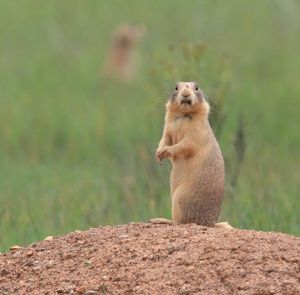 Image post by @nationalparkservice on Instagram