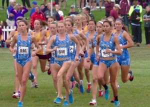 Image post by @uclaxc on Instagram