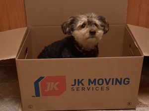 Image post by @jkmoving on Instagram
