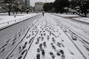 Image post by @gettyimages on Instagram