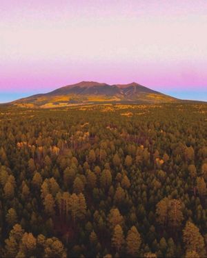 Image post by @nauflagstaff on Instagram