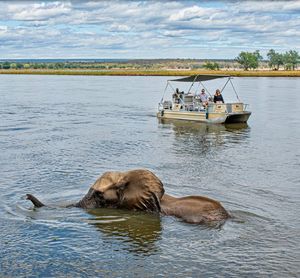Image post by @chiawasafaris on Instagram