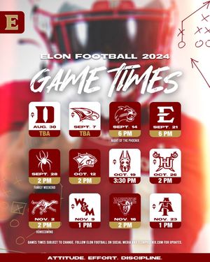 Image post by @elonfb on Instagram