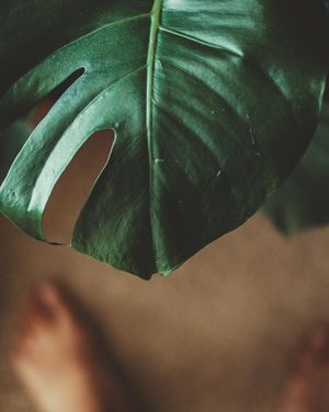Image post by @ninamarie_creative on Instagram