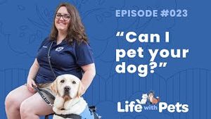 Video post by @bluebuffalo on YouTube