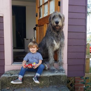 Image post by @thesavannahwolfhound on Instagram