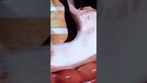 Video post by @whatifscienceshow on YouTube