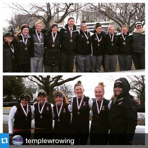 Image post by @templeowls on Instagram
