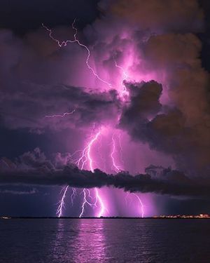 Image post by @fubiz on Instagram