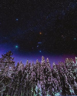 Image post by @nauflagstaff on Instagram