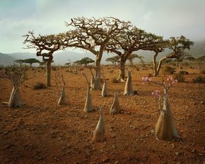 Image post by @natgeo on Instagram