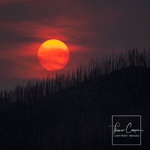 Image post by @lightboximages on Instagram