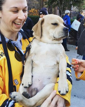 Image post by @thebostonpride on Instagram