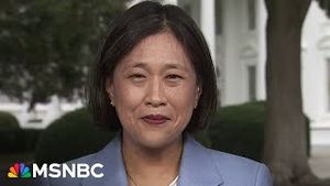 Video post by @msnbc on YouTube
