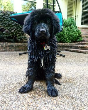 Image post by @nashthenewfie on Instagram