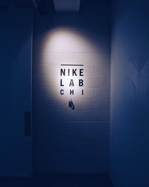 Image post by @willtrogdon on Instagram