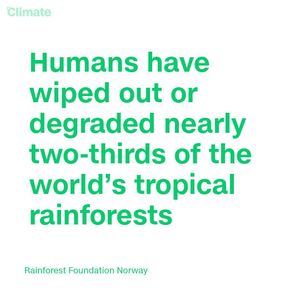 Image post by @cnnclimate on Instagram