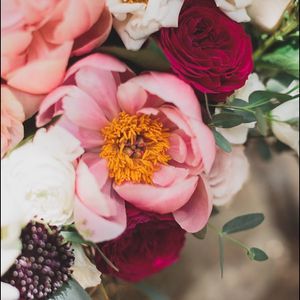 Image post by @thebloombartx on Instagram