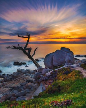 Image post by @pebblebeachresorts on Instagram