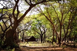 Image post by @chiawasafaris on Instagram