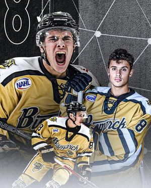 Image post by @bismarckbobcats on Instagram