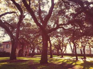 Image post by @collegeofcharleston on Instagram