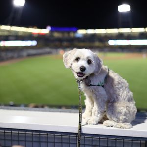 Image post by @nashvillesounds on Instagram