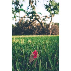 Image post by @m.eye.key on Instagram