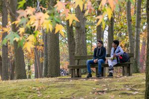 Image post by @stonybrooku on Instagram