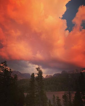 Image post by @shalaneflanagan on Instagram