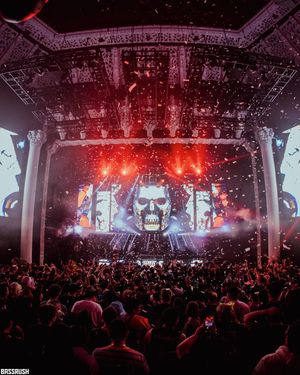Image post by @bassrush on Instagram