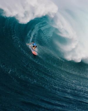 Image post by @elo_eriklogan on Instagram