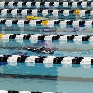 Image post by @purduewswimdive on Instagram