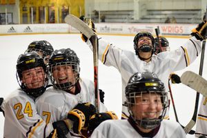 Image post by @womenshockeyasu on Instagram