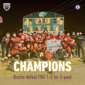 Image post by @bubruins on Instagram