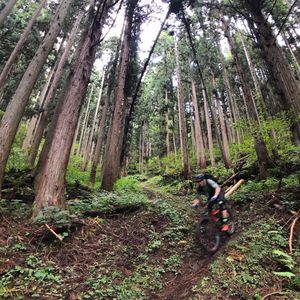 Image post by @bikerumor on Instagram