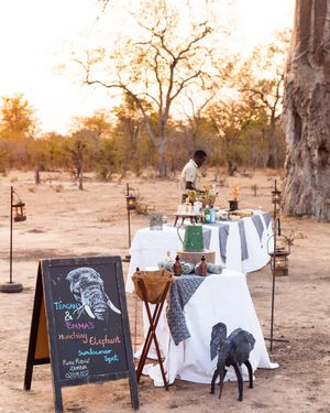 Image post by @chiawasafaris on Instagram