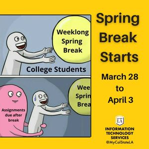Image post by @mycalstatela on Instagram