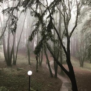 Image post by @ucsc on Instagram