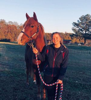 Image post by @appalachianequestrian on Instagram