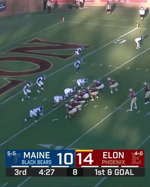 Image post by @elonfb on Instagram