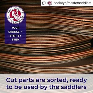 Image post by @performancesaddlefitssthsydney on Instagram
