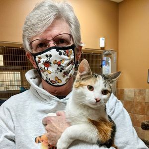 Image post by @spokhumanesoc on Instagram