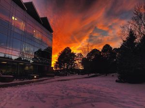 Image post by @nauflagstaff on Instagram